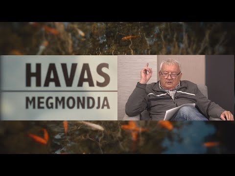 HAVAS MEGMONDJA – Létezik még a magyar jogállam?