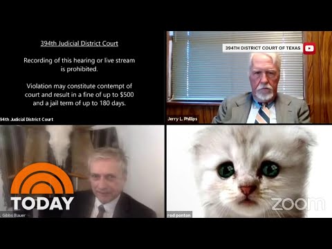 Lawyer Who Couldn’t Turn Off Cat Filter In Zoom: ‘I Don’t Know How It Got On’ | TODAY