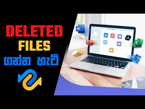 How To Recover Any Deleted Files With The Best Data Recovery Software (2022)