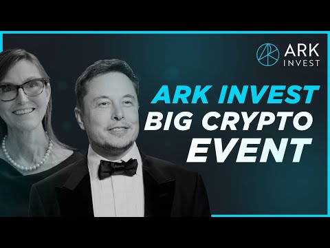 Elon Musk : Is A 100,000 Bitcoin Possible! Should We Be Buying Altcoins Now?