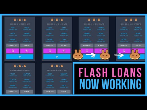 FLASH LOANS NOW WORKING – We Can Now Arbitrage Almost Any Exchange on BSC