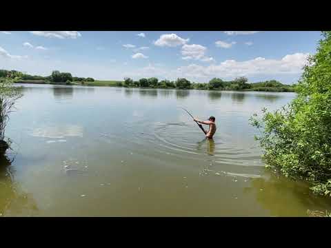 Amikor a harcsa az erősebb 2. Rész. Harcsafárasztás a vízből- Giant catfish catch from the water!