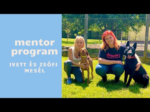 Mentor program | Ivett és Zsófi mesél