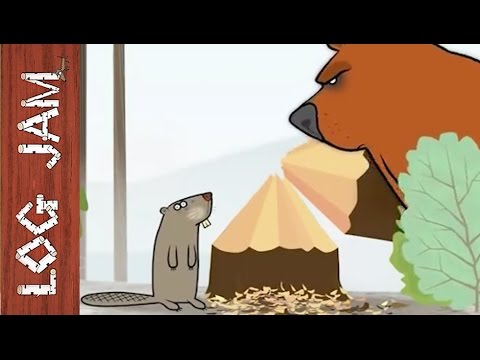 Log Jam – Hód (humor, animáció, rajzfilm)