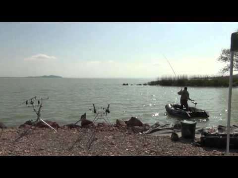 Big Carp fishing on the Lake Balaton with Zsolt Bundik