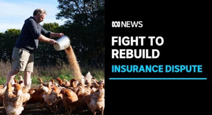 Insurance claim denied over family's egg-selling business | ABC News