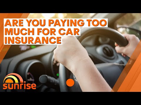 Are you paying too much for car insurance? | 7NEWS