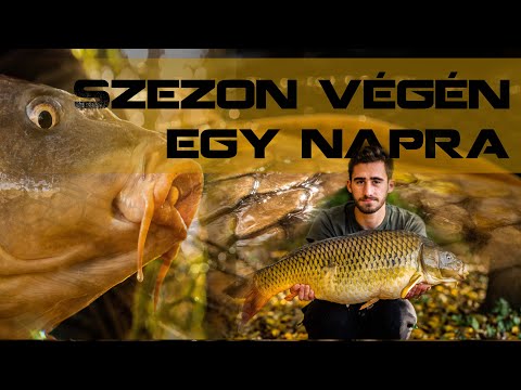 Rapid őszi pontyhorgászat 🎣🐳🍂