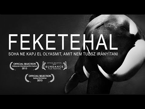 Feketehal – 2013 (dokumentumfilm, magyar felirattal)