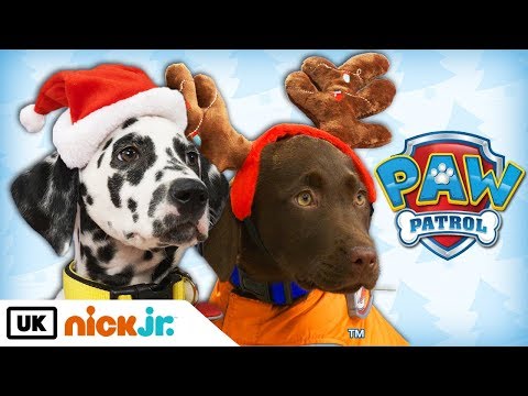 Paw Patrol | Real Pups Save Christmas | Nick Jr. UK