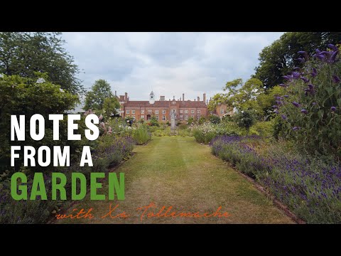 The 40-year evolution of Xa Tollemache’s Suffolk garden | Notes from a Garden