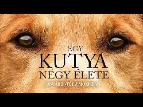 Egy Kutya Négy Élete Teljes Film Magyarul