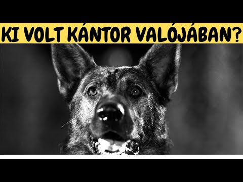 Ki volt KÁNTOR valójában?  A legsikeresebb magyar nyomozókutya nyomában!