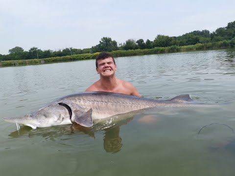 Nagy halak nyomában 1.rész: A tokok királya🎣🐋