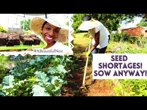 🌱SEED SHORTAGES? SOW ANYWAY! #27 A BEAUTIFUL NEST HOME & GARDEN