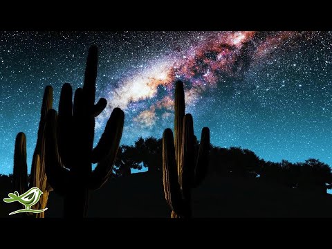 Beautiful Relaxing Music for Stress Relief • Relax, Sleep, Meditate, Study (High Above)