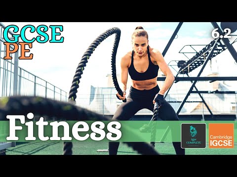 GCSE PE – FITNESS – The Interaction With Health & Exercise – (Health, Fitness & Training 6.2)