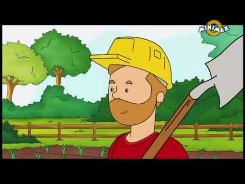 caillou fája