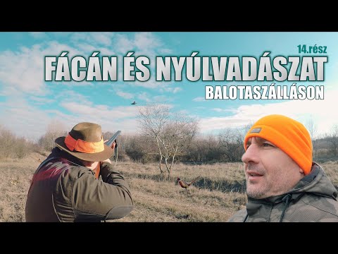 Vadkaland (14.rész) – FÁCÁN és NYÚLVADÁSZAT BALOTASZÁLLÁSON