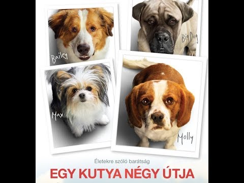 Egy kutya négy útja-teljes film magyarul