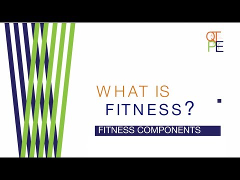 What is Fitness: Health & Skill Fitness Components PE