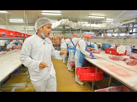 Elképesztő tempóban dolgoznak a hentesek az ország egyik legnagyobb húsüzemében