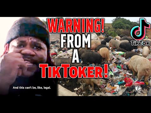 WARNING! From A TIKTOKER! • IS This LEGAL? • FEEDING PIGS GARABAGE!