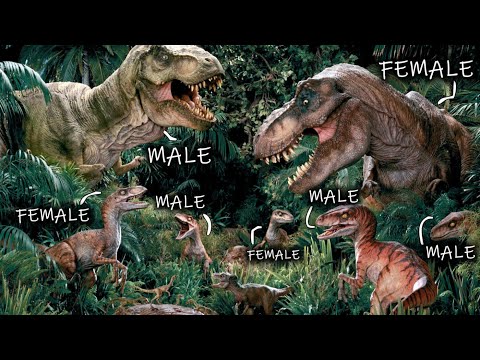 Az összes hím dinoszaurusz, a Jurassic franchise-ban!