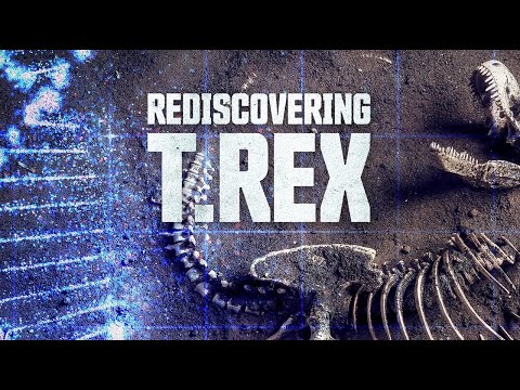 A T – Rex újrafelfedezese