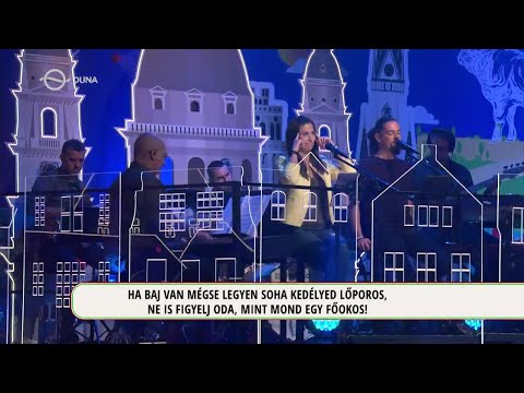 Magyarország, szeretlek! zenekar – Mézga Család főcímdal