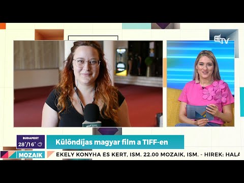 Különdíjas magyar film a TIFF-en – Mozaik