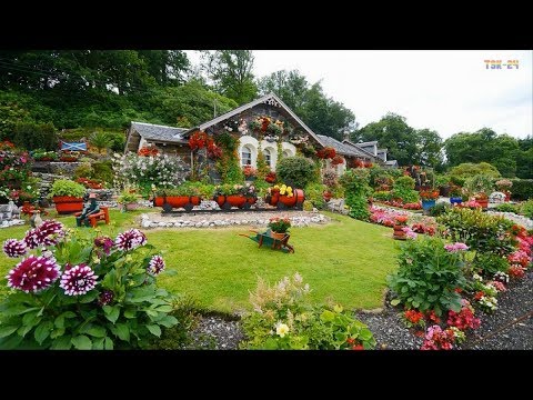 Home & Garden – Amazing Landscaping Design Ideas