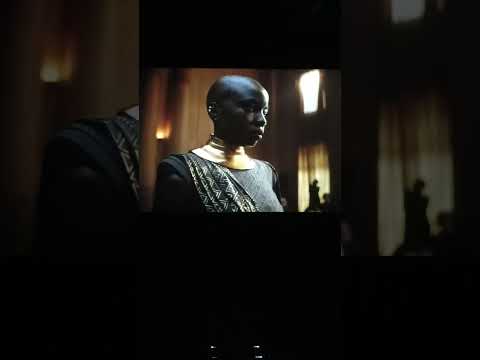 Black panther Hollywood movie