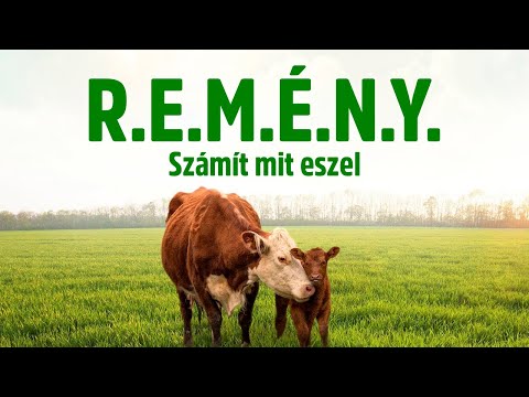 R.E.M.É.N.Y. – 2016 Teljes dokumentumfilm, magyar felirattal