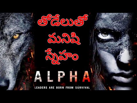 Alpha Review| Best Survival Movie| Action, Drama | Hollywood movie|  @Movie Tracker