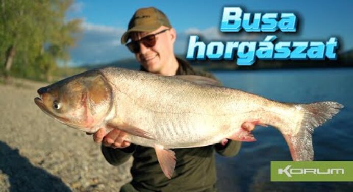 Busa horgászat angolosan - #busa #busahorgaszat #horgaszat #korumfishinghungary #feherbusa