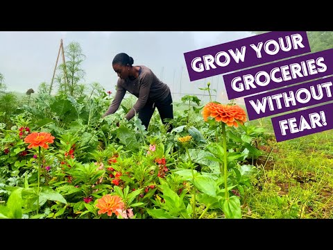 GROWING your GROCERIES WITHOUT FEAR! #34 / BEAUTIFUL NEST HOME & GARDEN