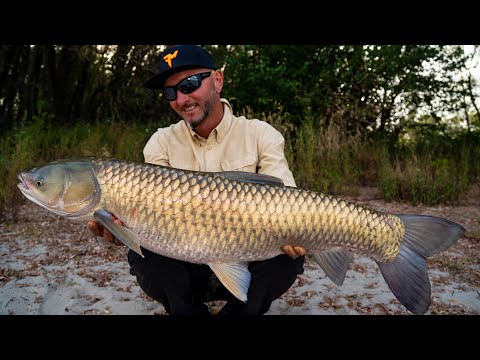 FEEDERMANIA – Amur horgászat a Duna déli szakaszán.