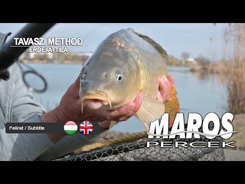 MAROS PERCEK- Erdei Attila tavaszi method horgászat – Törökbálint