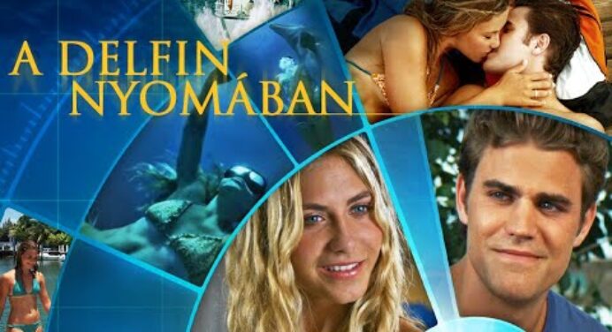 A delfin nyomában (2010) - teljes filmek magyarul