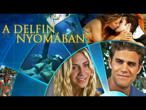 A delfin nyomában (2010) – teljes filmek magyarul
