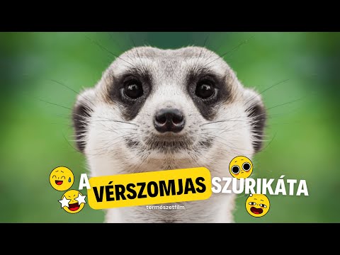 Szurikáta – Dokumentumfilm (magyar szinkronos)