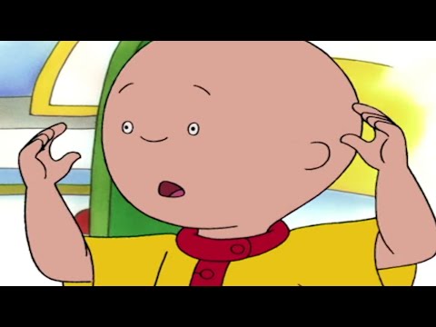 😮 Caillou kap egy Kamerát 📸 | Caillou Magyarul – WildBrain