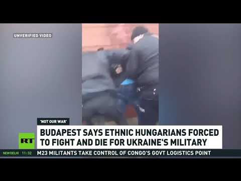 Hungarian ethnic nationals forced to fight for Ukrainian military – Budapest