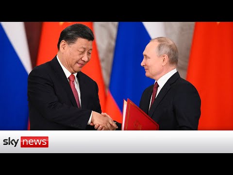 Xi Jinping and Vladimir Putin hold news conference in Russia
