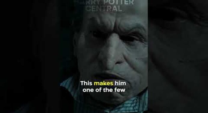 Did You Know In HARRY POTTER AND THE DEATHLY HALLOWS…