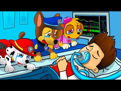 What Happened To Ryder! Very Sad Story But Happy Ending | PAW Patrol Ultimate Rescue