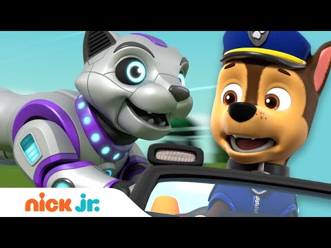 PAW Patrol & Cat Pack Stop Robot Cat! | Nick Jr.