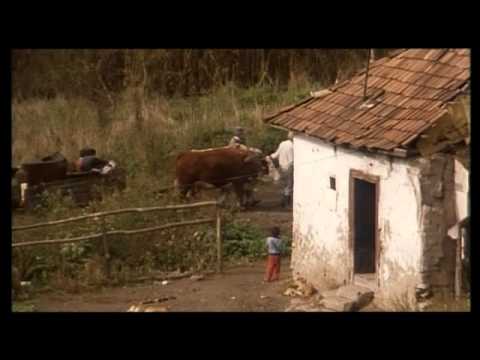Ciganytörveny   Romani kris