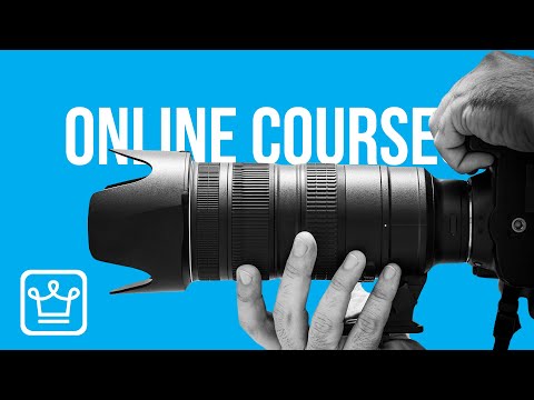 Top 10 Most Useful Online Courses That Are FREE